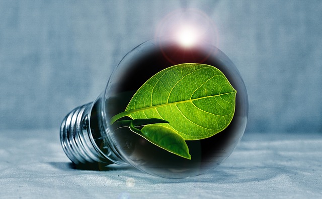 Енергоефективність в Україні: Зелений тариф і особливості енерго автономності